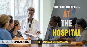 How the CNO Enhances Hospital Data Management and Patient Care