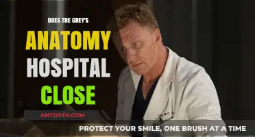 Grey Sloan Memorial Hospital: Closure or Continuation?