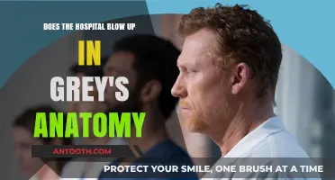 Does Grey Sloan Memorial Hospital Explode in Grey's Anatomy?