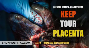 Placenta Retention Fees: What Hospitals Charge After Birth