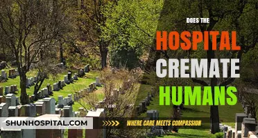 Do Hospitals Cremate Humans? Uncovering the Truth Behind the Process