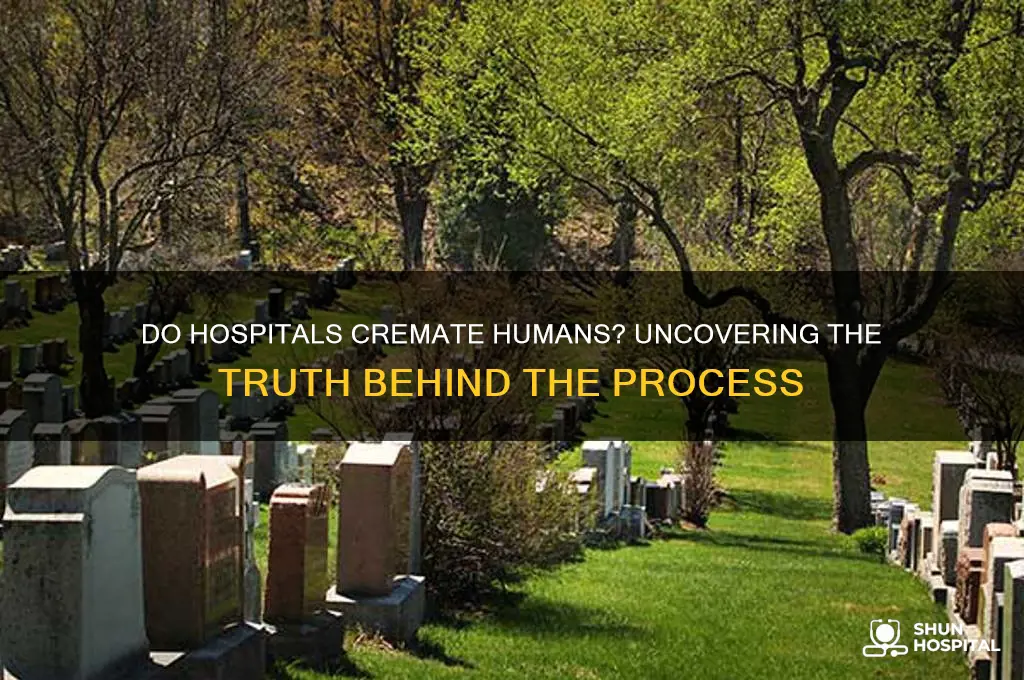 does the hospital cremate humans