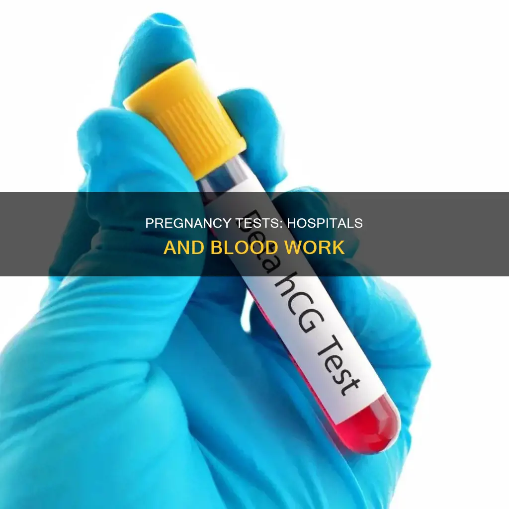 does the hospital do blood pregnancy tests