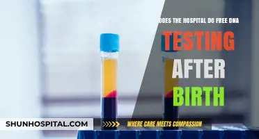 Do Hospitals Offer Free DNA Testing After Birth? What to Know