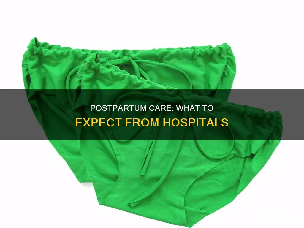 does the hospital give you postpartum underwear