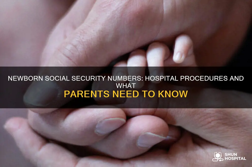 does the hospital give your newborn a social security number