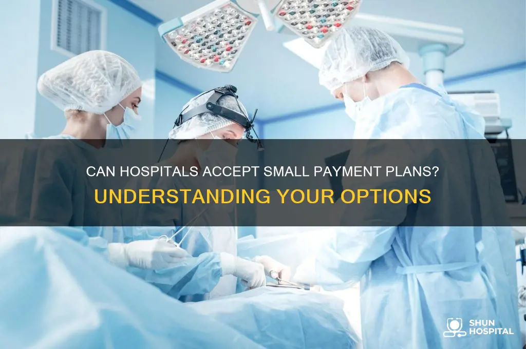 does the hospital have to accept small payment plans