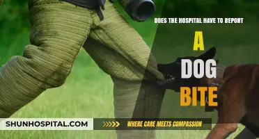Dog Bite Reporting: Hospital Obligations and Legal Requirements Explained