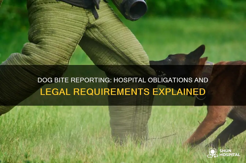 does the hospital have to report a dog bite