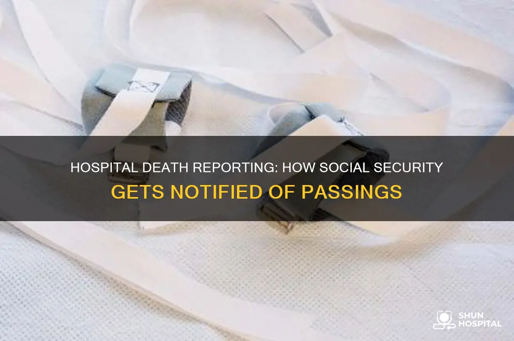 does the hospital notify social security of a death