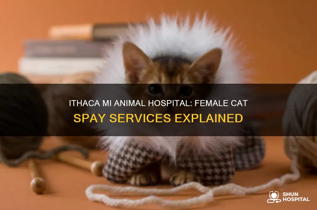 does the ithaca mi animal hospital fix female cat