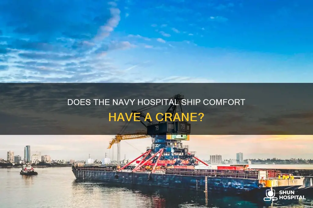 does the navy hospital ship comfort have a crane