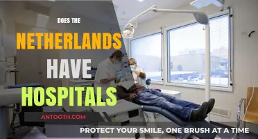 Exploring Healthcare: Do Hospitals Exist in the Netherlands?
