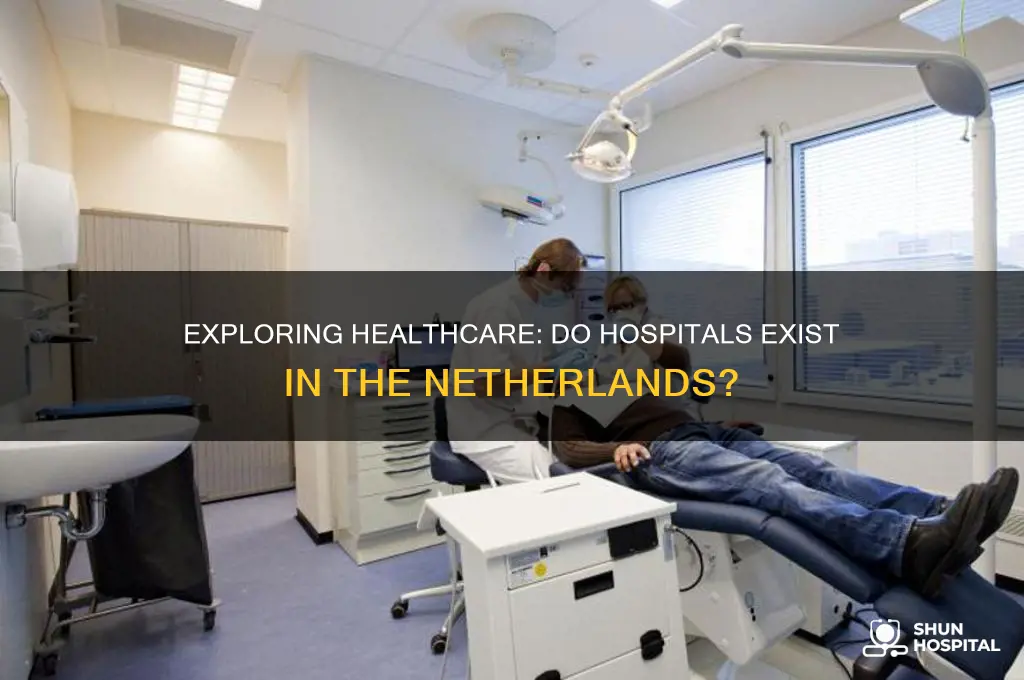 does the netherlands have hospitals