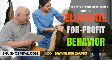 Not-for-Profit Hospitals: Eliminating Profit-Driven Behavior or Mere Illusion?