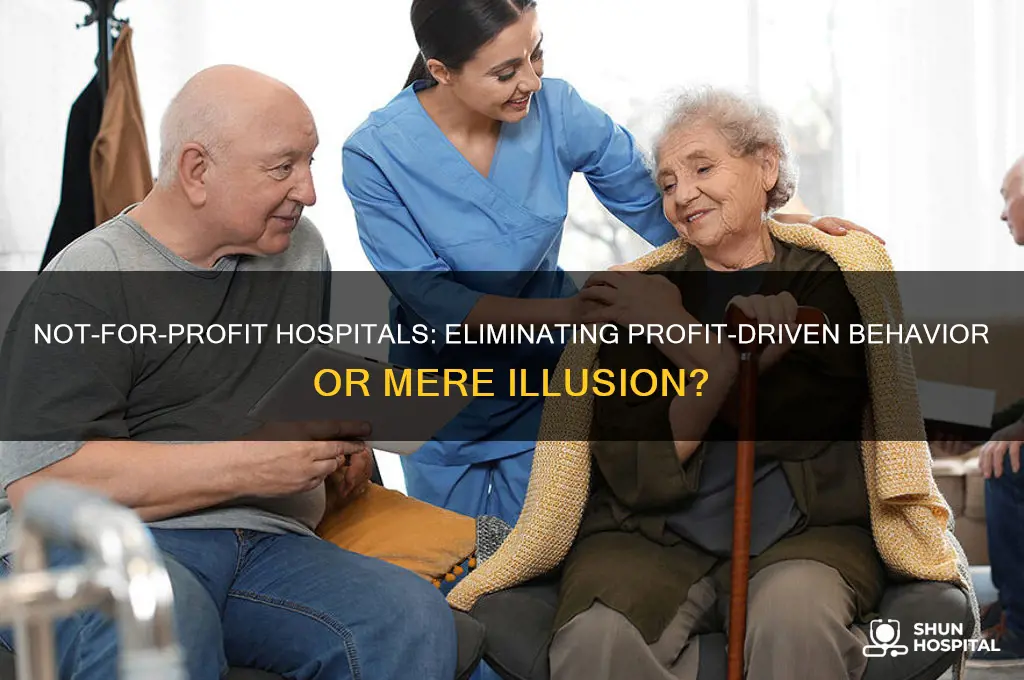 does the not-for-profit structure in a hospital eliminate for-profit behavior