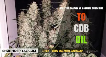 Does Phoenix VA Hospital Use CBD Oil for Patient Care?