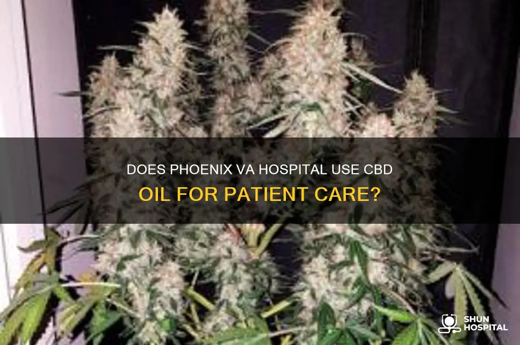 does the phoenix va hospital subscribe to cdb oil