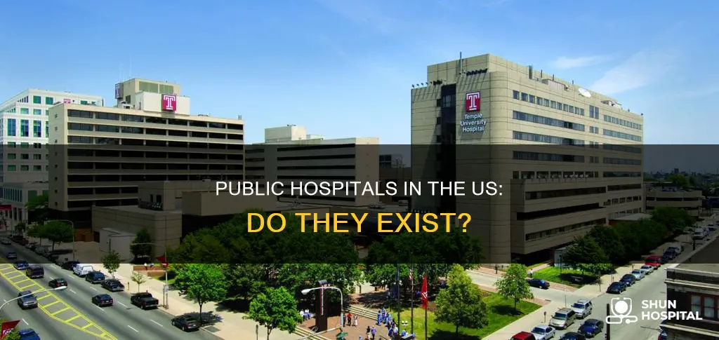 does the us have any public hospitals