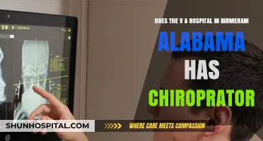 Chiropractic Care at Birmingham, Alabama's VA Hospital: What You Need to Know