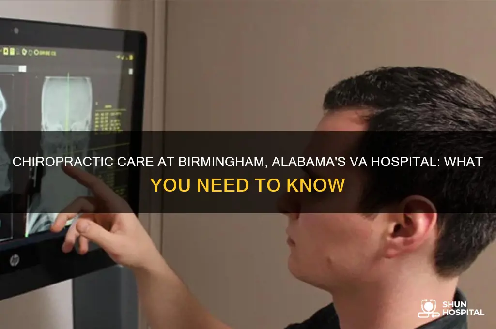 does the v a hospital in birmeham alabama has chiroprator