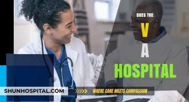 Does the VA Hospital Meet Veterans' Healthcare Needs Effectively?