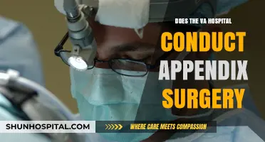 VA Hospital: Appendix Surgery Options