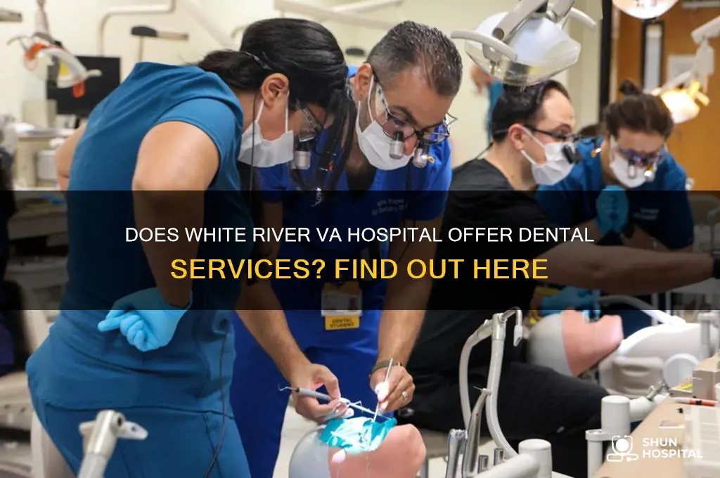 does the va hospital in white river have dentists