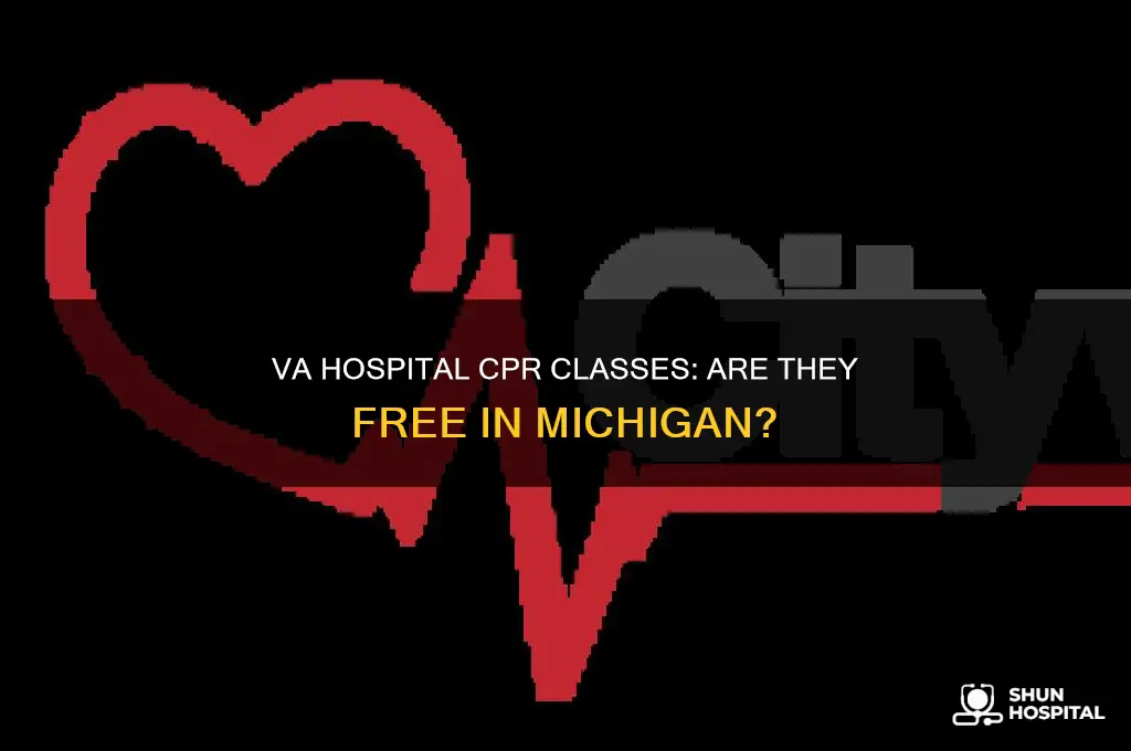 does the va hospital offer free cpr classes in michigan