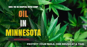Does Minnesota's VA Hospital Provide Hemp Oil to Veterans?