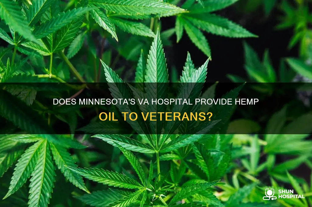 does the va hospital offer hemp oil in minnesota