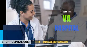 Does the VA Hospital Meet Veterans' Healthcare Needs Effectively?