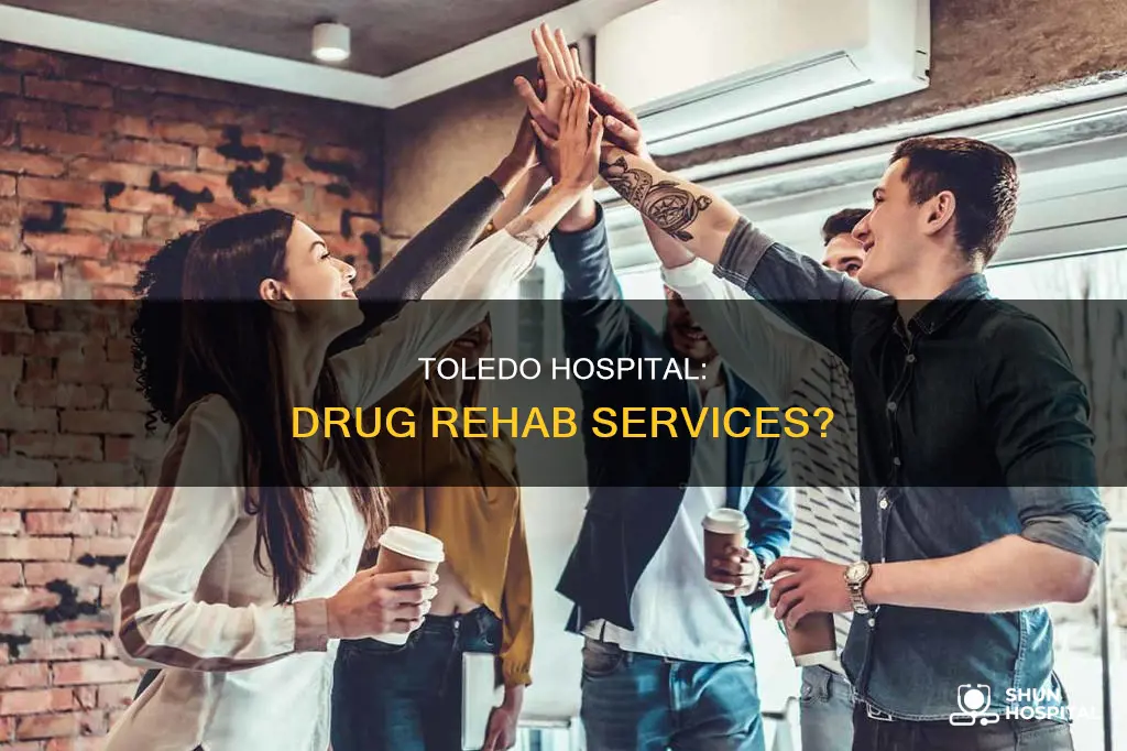 does toledo hospital offer rehab for drugs