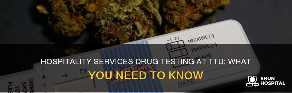 does ttu hospitality services drug test you