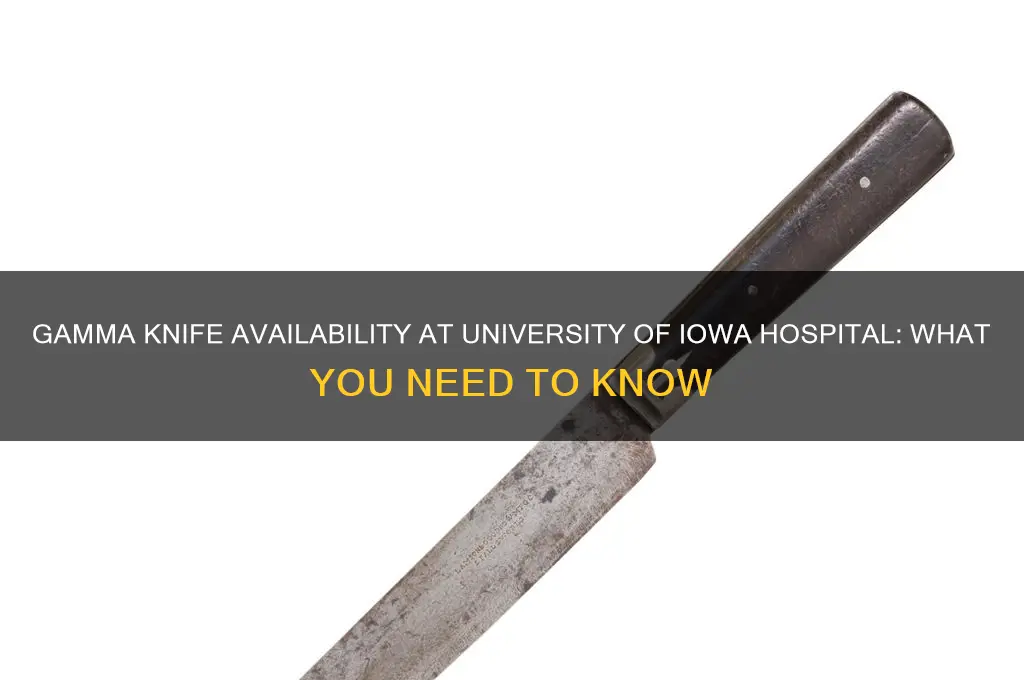 does university of iowa hospital have a gamma knife