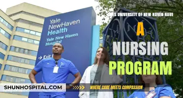 Exploring University of New Haven's Nursing Program: Availability and Details
