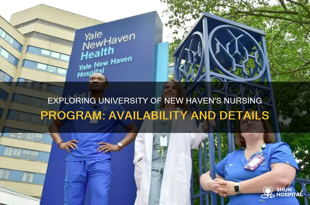 does university of new haven have a nursing program