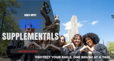 Does UPitt Require Supplemental Essays for Admission?