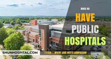 Do Public Hospitals Exist in the United States? Exploring Healthcare Systems