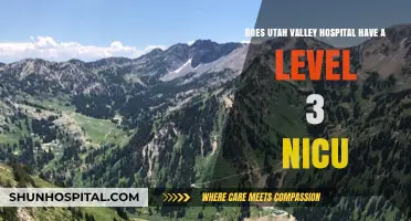 Utah Valley Hospital's NICU: Exploring Level 3 Capabilities and Care