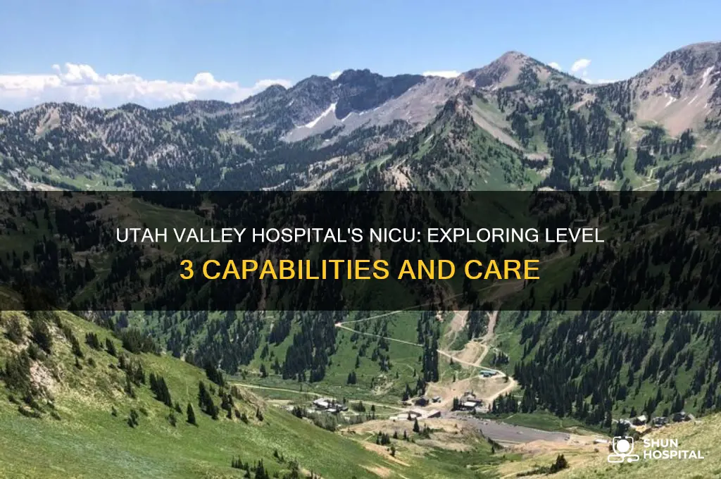 does utah valley hospital have a level 3 nicu