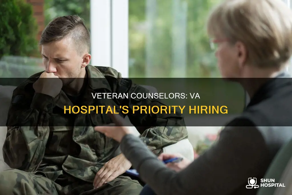 does va hospital employ a veteran counselor