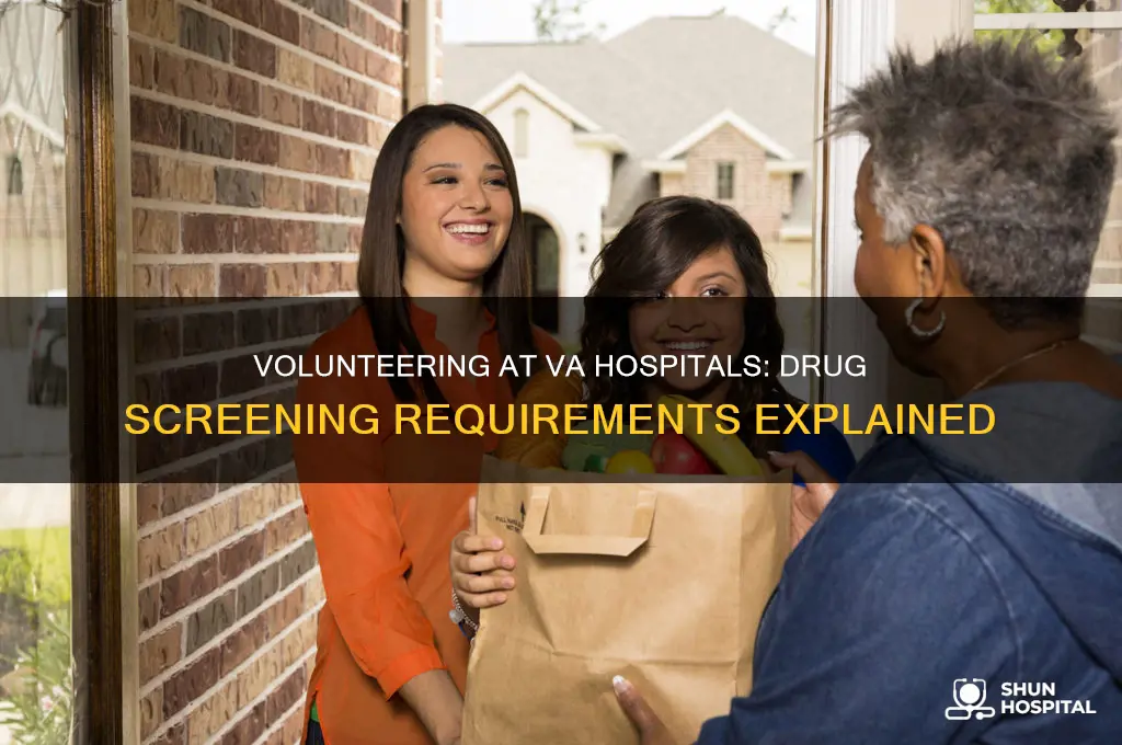 does va hospital require a drug srceening to volunteer
