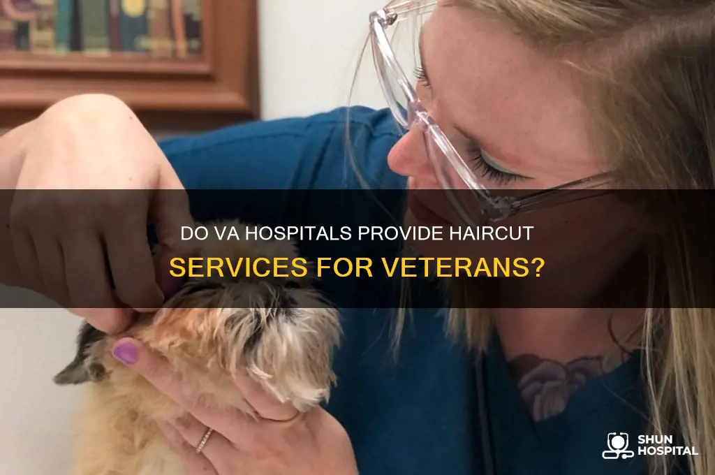 does va hospitals offer haircuts