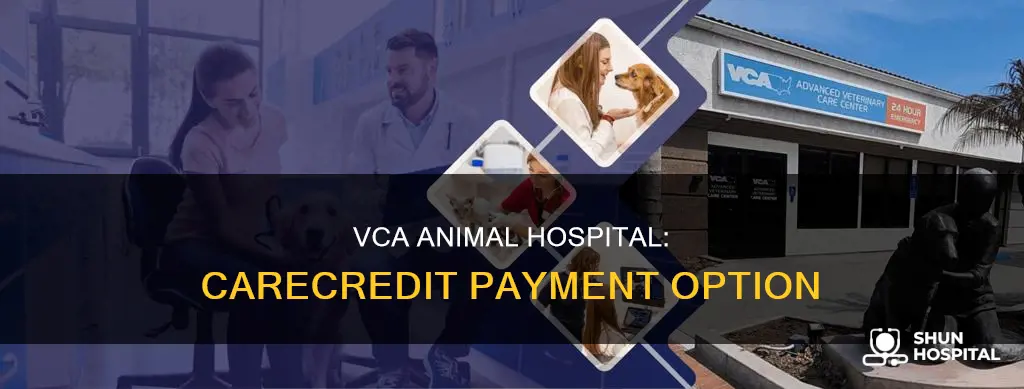 does vca animal hospital accept care credit