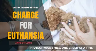 VCA Animal Hospital: What's the Cost of Pet Euthanasia?