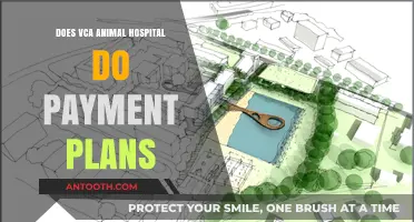 VCA Animal Hospital: Payment Plans Available?