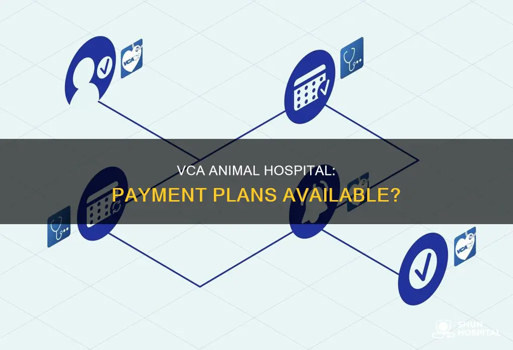 does vca animal hospital do payment plans