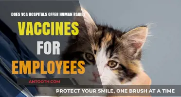 VCA Hospitals: Human Rabies Vaccines for Employee Safety?