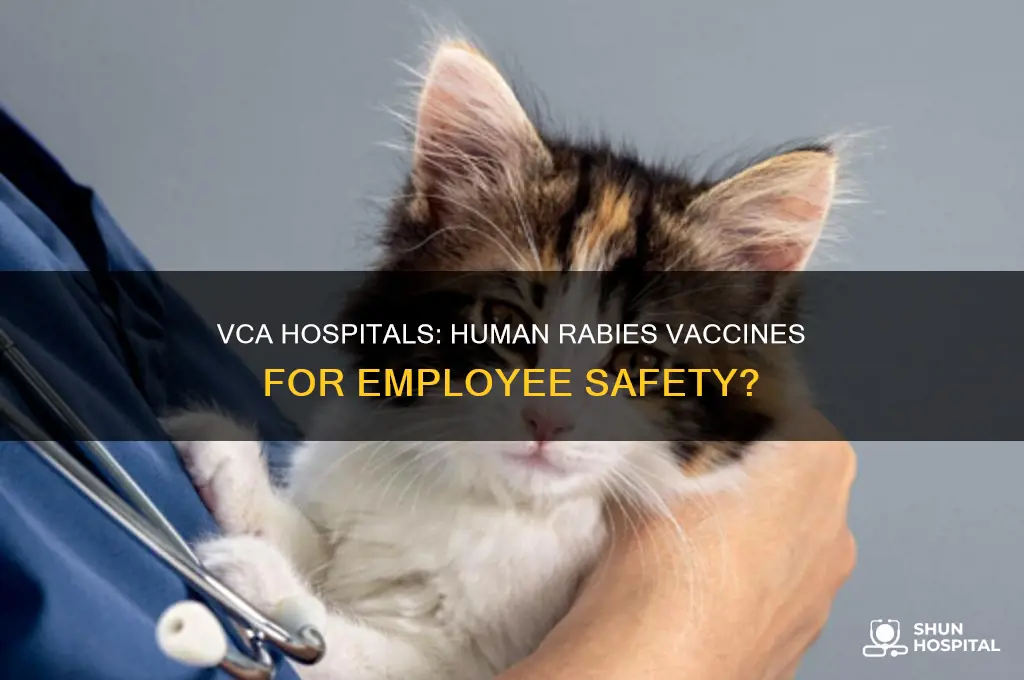 does vca hospitals offer human rabies vaccines for employees
